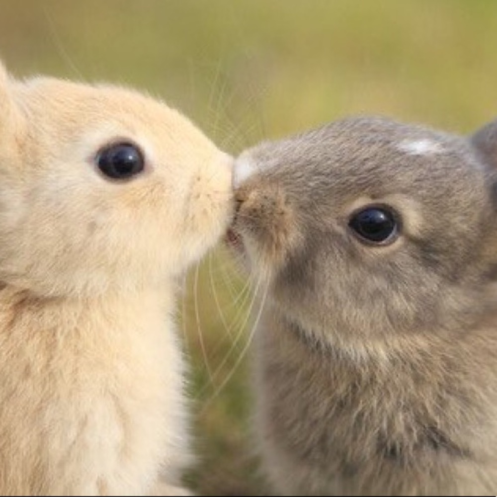 Meet your Posher, Zoe